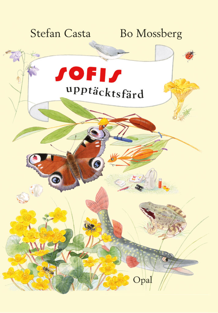 Sofis upptäcktsfärd