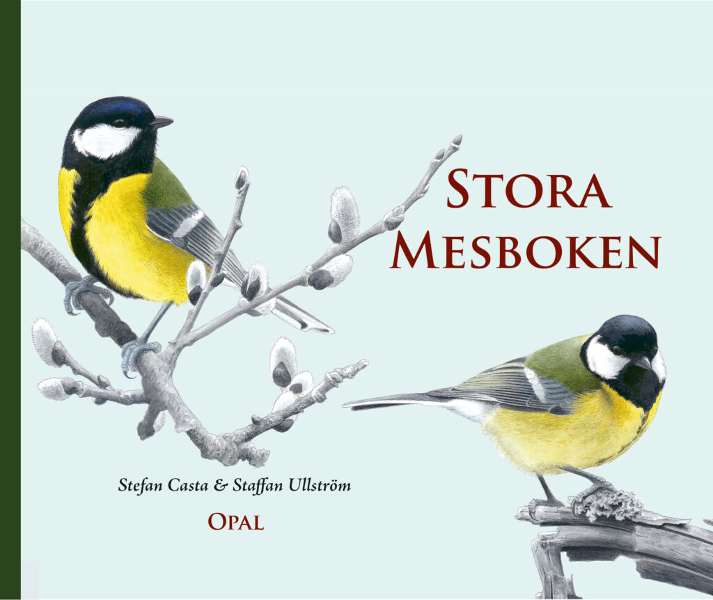 Stora mesboken