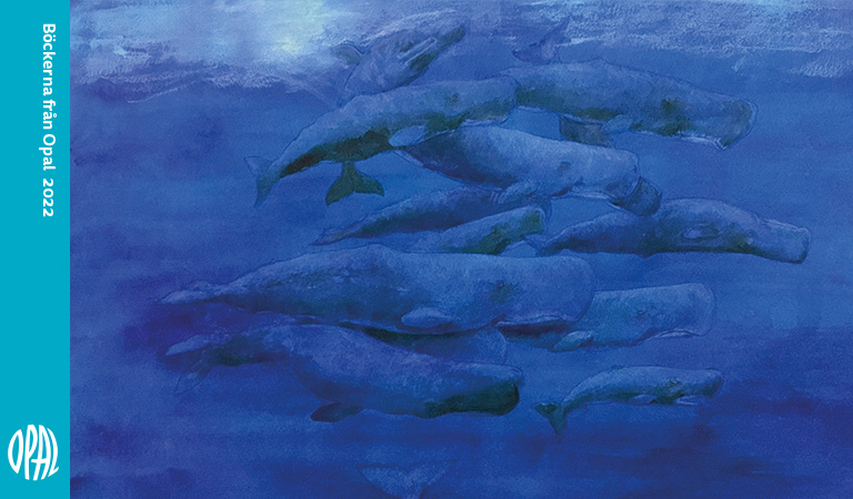 Årets nyheter 2022!